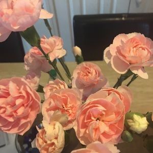 Meet your Posher, Jazzman